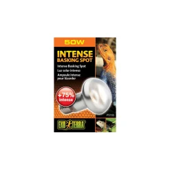 Exo Terra Intense Basking Spot 50 W