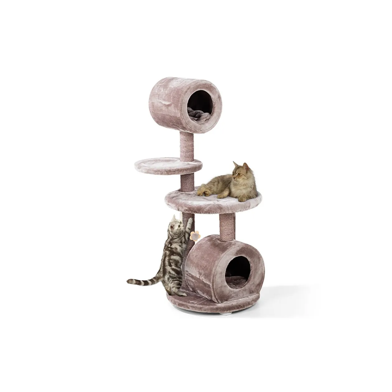 MORE Arbre à chat Jive