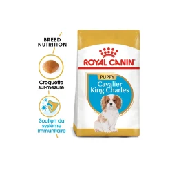 ROYAL CANIN Cavalier King Charles Chiot Croquettes Chien 1,5 kg
