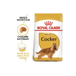 ROYAL CANIN Cocker Adulte Croquettes Chien 3 kg