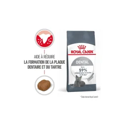 ROYAL CANIN Dental Care Croquettes Chat 400 g