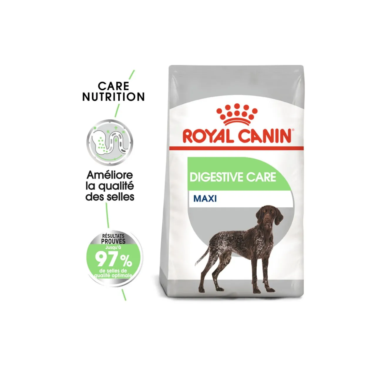 ROYAL CANIN Digestive Care Maxi 3 kg