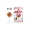 ROYAL CANIN Kitten en sauce 12x85 g