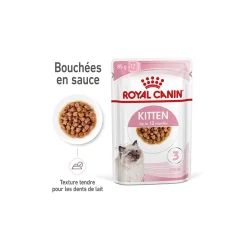 ROYAL CANIN Kitten en sauce 12x85 g
