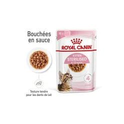ROYAL CANIN KITTEN STERILISED en sauce 12 x 85 g