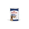 ROYAL CANIN Maxi Ageing Mousse 12 x 410 g