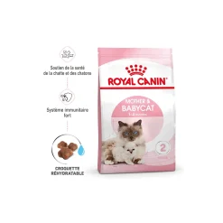 ROYAL CANIN Mother & Babycat Croquettes Chat 400 g