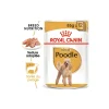 ROYAL CANIN Poodle Adult en sauce 12x85 g