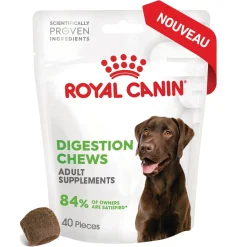 ROYAL CANIN Suppléments Friandises à mâcher, Adulte, Digestion