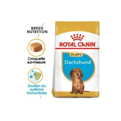 ROYAL CANIN Teckel Chiot Croquettes Chien 1,5 kg
