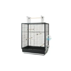 Savic Cage à oiseau Primo 60